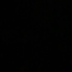 Meet your Posher, Lily